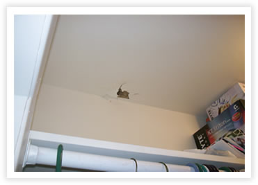 Rothe Blog Beech Meadow Apartments Ceiling Hole