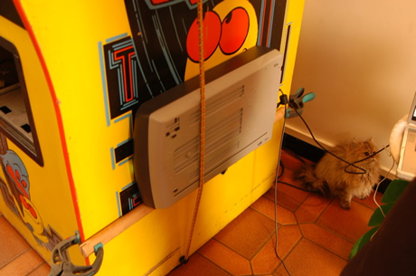 Scanning cabinet with bungie cords